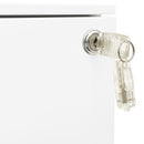 Aktenschrank Mit Rollen 39X45X60 Cm Stahl