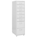 Aktenschrank Mit Rollen 28X41X69 Cm Metall