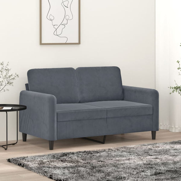 2-Sitzer-Sofa Dunkelgrau 120 cm Samt