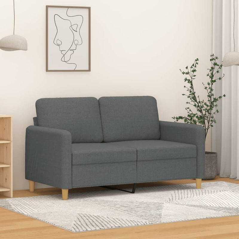 2-Sitzer-Sofa Dunkelgrau 120 cm Stoff