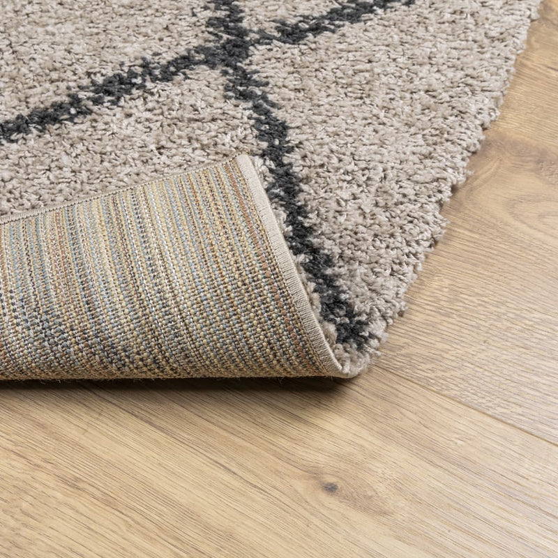 Teppich Shaggy Hochflor Modern Beige und Anthrazit 80x250 cm